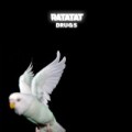 Buy Ratatat - Drugs (CDS) Mp3 Download