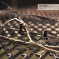 Buy Stephen Vitiello - Dowsing Mp3 Download