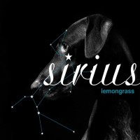 Purchase Lemongrass - Sirius