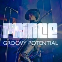 Purchase Prince - Groovy Potential (CDS)