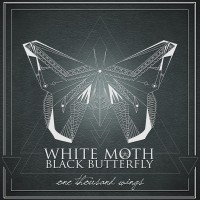 Purchase White Moth Black Butterfly - One Thousand Wings
