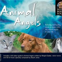 Purchase Stuart Jones - Animal Angels