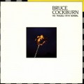 Buy Bruce Cockburn - The Trouble With Normal (Remastered 2002) Mp3 Download