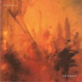 Buy Time Of Orchids - Much Too Much Fun Mp3 Download