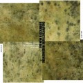 Buy Das Synthetische Mischgewebe - The Monosyllabic Bicycles Tri-Coloured Quadruples (With New Blockaders) (Vinyl) Mp3 Download