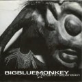 Buy Big Blue Monkey - Truth In Separation (EP) Mp3 Download