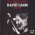 Buy David Lahm Quartet - Muscle Memory Hoedown Mp3 Download