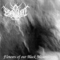 Buy Profanum - Flowers Of Our Black Misanthropy Mp3 Download