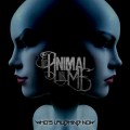 Buy The Animal In Me - Who's Laughing Now Mp3 Download