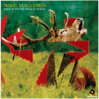 Purchase Wave Machines - Wave If You're Really There