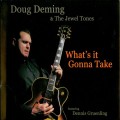 Buy Doug Deming & The Jewel Tones - What's It Gonna Take Mp3 Download