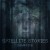 Buy Satellite Stories - Campfire (CDS) Mp3 Download