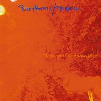 Purchase Peter Hammill - The Noise (There Goes The Daylight)