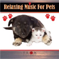 Purchase Tron Syversen - Critter Comforts: Relaxing Music For Pets CD1