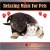 Buy Tron Syversen - Critter Comforts: Relaxing Music For Pets CD2 Mp3 Download