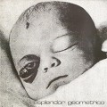 Buy Esplendor Geométrico - Necrosis En La Poya (VLS) Mp3 Download