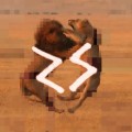 Buy Ryan Star - A N G E L S + A N I M A L S Mp3 Download