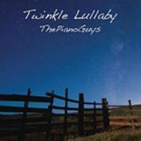 Purchase Steven Sharp Nelson - Twinkle Lullaby (With Jon Schmidt ) (CDS)