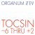Buy Organum & Z'ev - Tocsin -6 Thru +2 Mp3 Download
