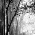 Buy Rolf Julius - Music For The Ears: Small Music No. 1 Mp3 Download