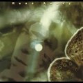 Buy René Aubry - Apres La Pluie Mp3 Download