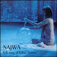 Purchase Najwa - Following Dolphins Remixes
