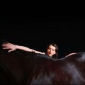 Buy My Brightest Diamond - Bring Me The Workhorse Mp3 Download