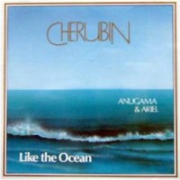 Purchase Anugama - Like The Ocean (With Ariel)