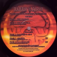 Purchase Rabbit In The Moon - Phases Of An Out-Of-Body Experience