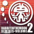 Buy VA - Rabbit In The Moon Remixes (Vol. 2) Mp3 Download