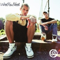 Purchase Aer - What You Need (EP)