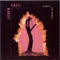 Buy Fever Tree - Filigree And Shadow Mp3 Download