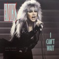 Buy Stevie Nicks - I Can't Wait (MCD) Mp3 Download