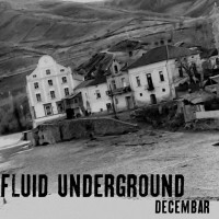 Purchase Fluid Underground - Decembar