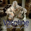 Buy Stone Temple Pilots - Vasoline (MCD) Mp3 Download