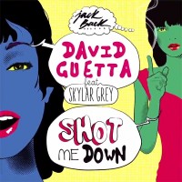 Purchase David Guetta - She Shot Me Down (CDS)