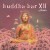 Purchase VA- Buddha Bar XII (La Vie En Rose) CD1 MP3