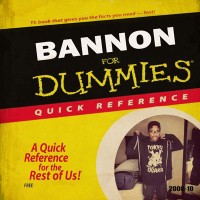 Purchase Lee Bannon - Bannon For Dummies