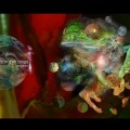 Buy Zombie Frogs - Awaken Mp3 Download