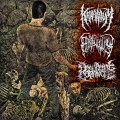 Buy Kraanium - Goresoaked Slamassacre (Split With Epicardiectomy & Dormant Carnivore) Mp3 Download