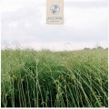 Buy Anchor - Recovery Mp3 Download