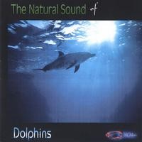 Purchase Medwyn Goodall - Dolphins