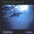 Buy Medwyn Goodall - Dolphins Mp3 Download