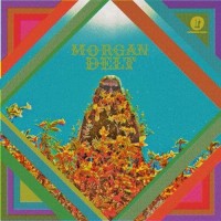 Purchase Morgan Delt - Morgan Delt