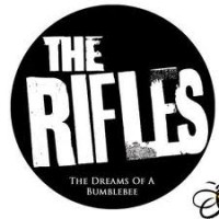 Purchase The Rifles - The Dreams Of A Bumblebee