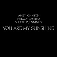Purchase Jamey Johnson - You Are My Sunshine (Feat. Twiggy Ramirez & Shooter Jennings) (CDS)