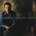 Buy Ottmar Liebert - Little Wing Mp3 Download