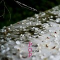 Buy Ottmar Liebert - Petals On The Path Mp3 Download