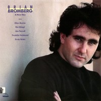 Purchase Brian Bromberg - A New Day