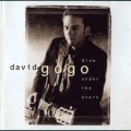 Buy David Gogo - Dine Under The Stars Mp3 Download
